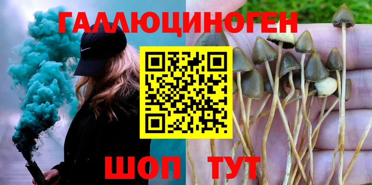 Галлюциногенные грибы мицелий Новосибирск